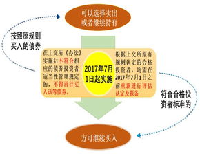 上交所 債券市場投資者適當(dāng)性管理辦法 2017年修訂 答記者問 上